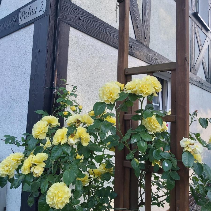 אוסטקה Nadmorskie Apartamenty מראה חיצוני תמונה